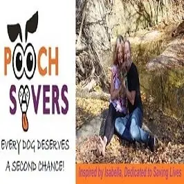 Share Rescue Dogs on Facebook