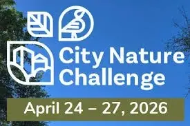 Education Ambassador - City Nature Challenge (Fall River & New Bedford)
