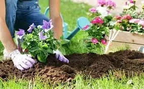Flower Planting & Weeding Help