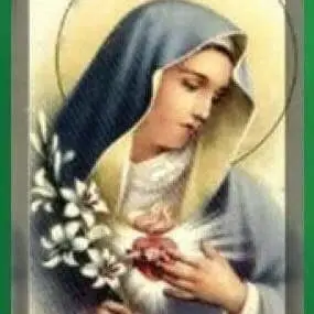 Hospice Volunteers - Office Services