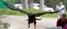 Wildlife Rehab Caregivers