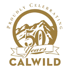 Member, Board of Directors (unpaid, volunteer role)