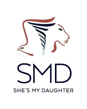 Ai implementation Strategist