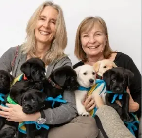Help with the next generation of service dogs as a Canine Caretaker!