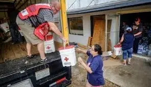 The Next Shelter Hero (Volunteer) Could Be You