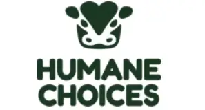 Director of Digital Transformation - Volunteer Position