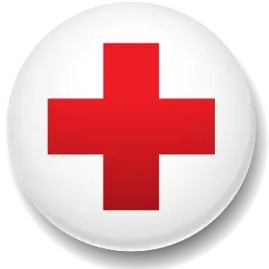 Seeking Mentor to Support Local Red Cross Club!