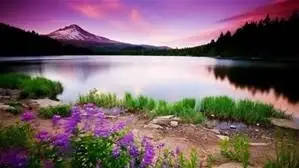 No One Dies Alone:  11th Hour Volunteers