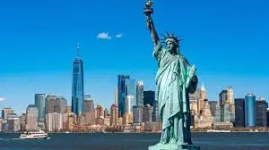 Board Members Needed!(Virtual)