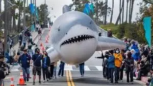 March for Whales, March with the Sharks- Kids wanted!