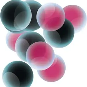 United Nation workers