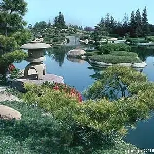 Volunteers Needed at the Japanese Garden