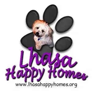 Dog Adoption Counselors/Event Volunteers