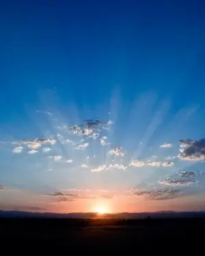 Companionship Volunteer