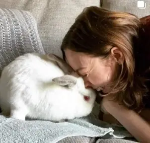 Help care for abandoned pet rabbits in our shelter.