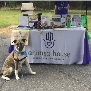 Festival Outreach Volunteer