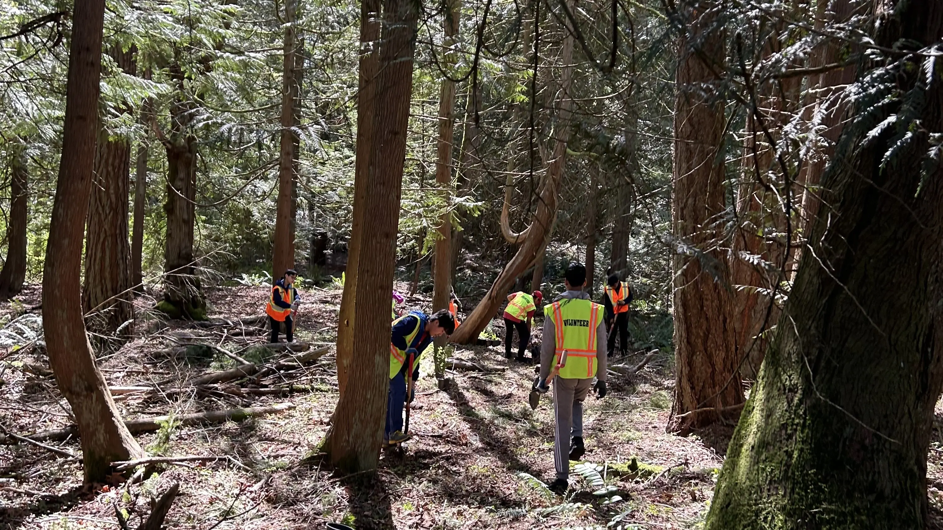 August 16th Restore Habitat at Evans Creek Preserve