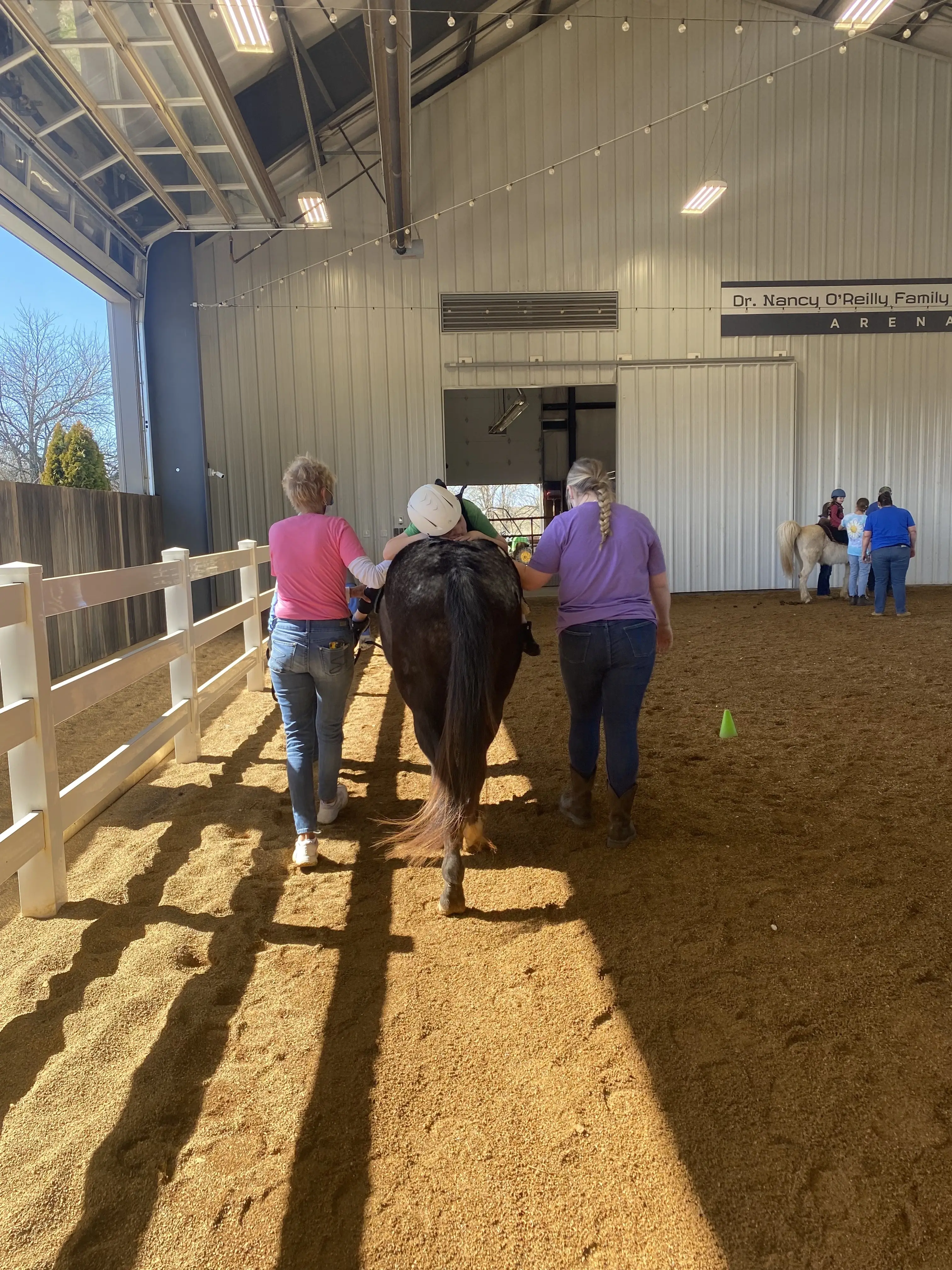 Hippotherapy Sidewalker