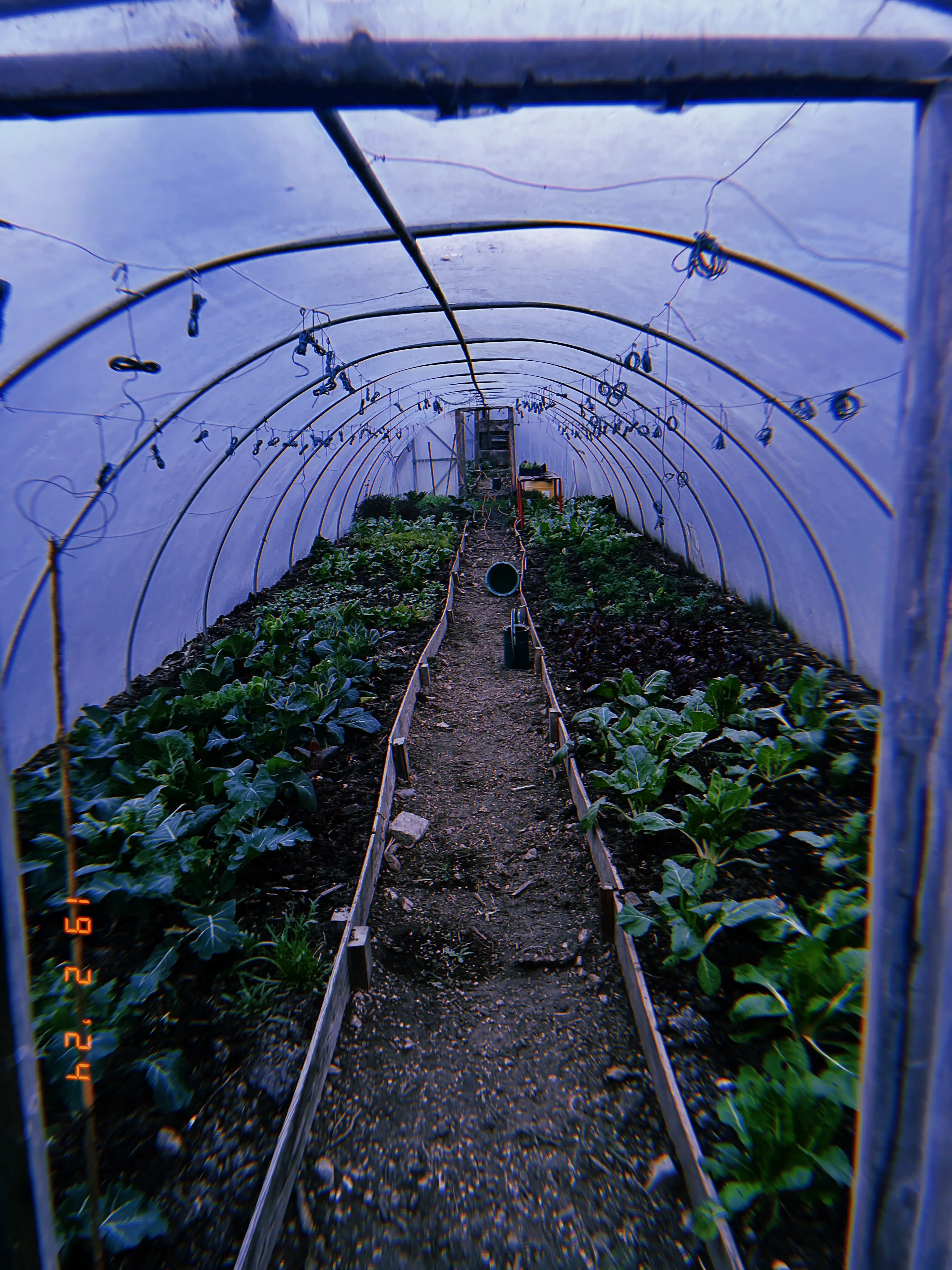 Gardener