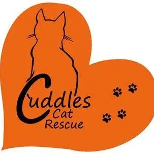 Fundraiser for small cat rescue