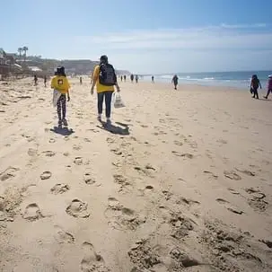 Volunteer at Lighthouse Field State Beach! (Monthly Events)