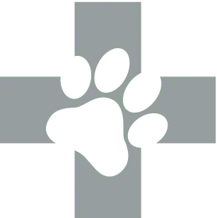 Bilingual Volunteers: Help Kansas City Pets and Owners