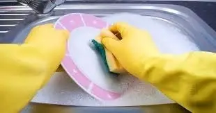 Shelter Helper * wash dishes & do laundry * in Kent * Tuesdays * early afternoons