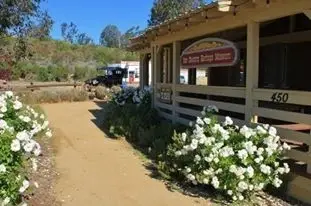 Museum Greeters, Guides & Docents