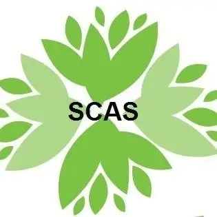 Volunteer Committee Members Needed