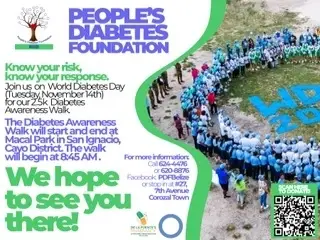 Looking for help creating flyers and posters for our campaign