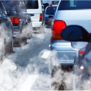 Social Media Specialist