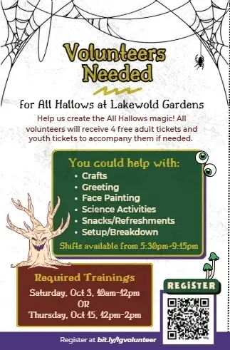 All Hallows Volunteer