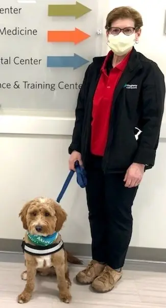 Pet Therapy Volunteer - AHN Cancer Institute - Robinson