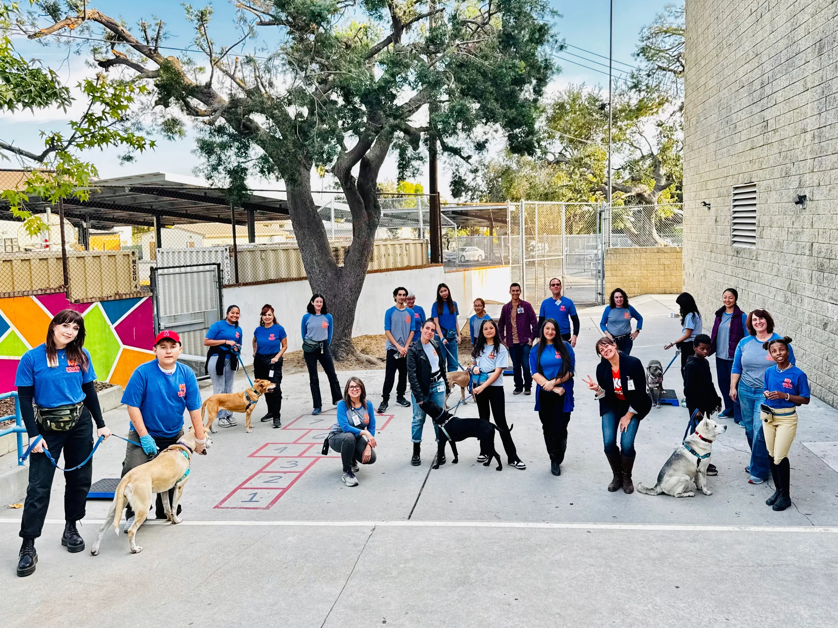 Volunteer Directly with Kids & Shelter Dogs!