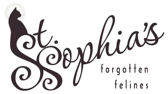 Public Relations and Marketing Volunteer