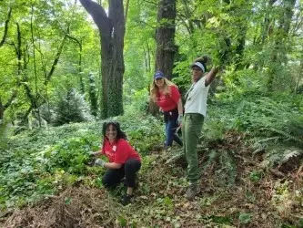 Riverton Creek - Restore Cottonwood Corner