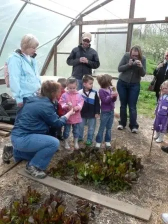 Volunteer Educator: School Field Trip Guide