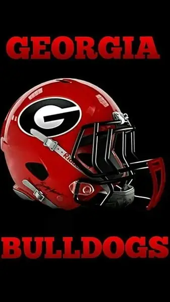 Volunteers needed for the Uga football season this fall 2025 @sanford stadium