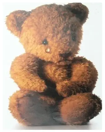 Colorado Only Teddy Bear Fundraiser Schools/new covid procedures