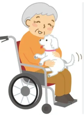 Therapy Dog and Volunteer needed in Hospice
