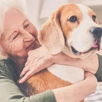 Hospice Pet Companion Volunteer (Omaha, NE)