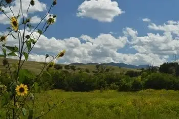 Vegetation monitoring at beautiful Canelo Preserve