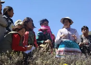 Group of woman talking and taking notes