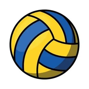 Volunteer Youth Volleyball Coach