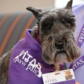 Make a "Dog-Gone" Difference in a Hospice Patient's Life-32504