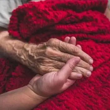 Companionship Volunteer