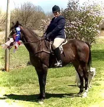 When God created the horse. . .