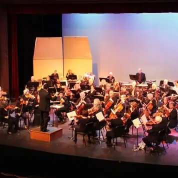 Usher at Classical Music Concerts