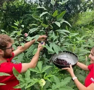 Peru - Organic Farming