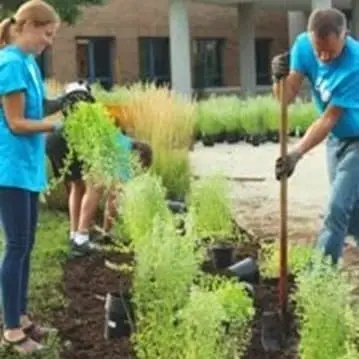 Help Seniors with a Home Beautification - Yard Project - June 11th